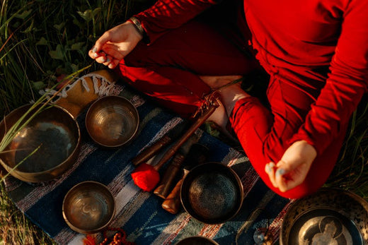 Ayurveda in Immune System Support