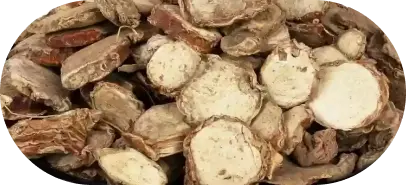 Kapur Kachari