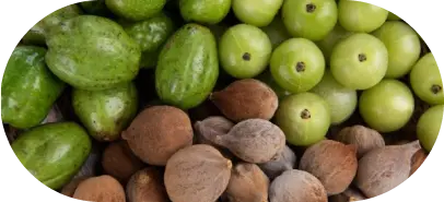 Triphala