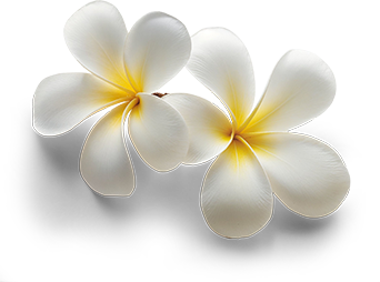 Ayurvedic Elements
