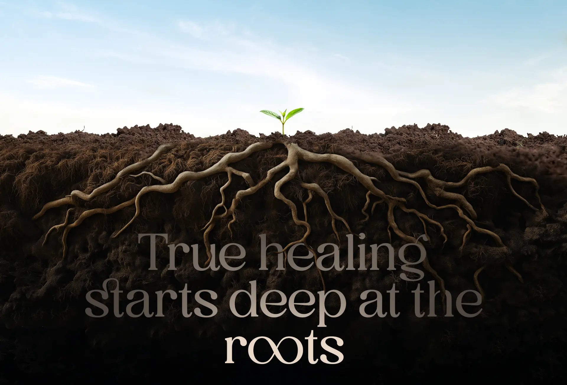 Ayurvedic principle