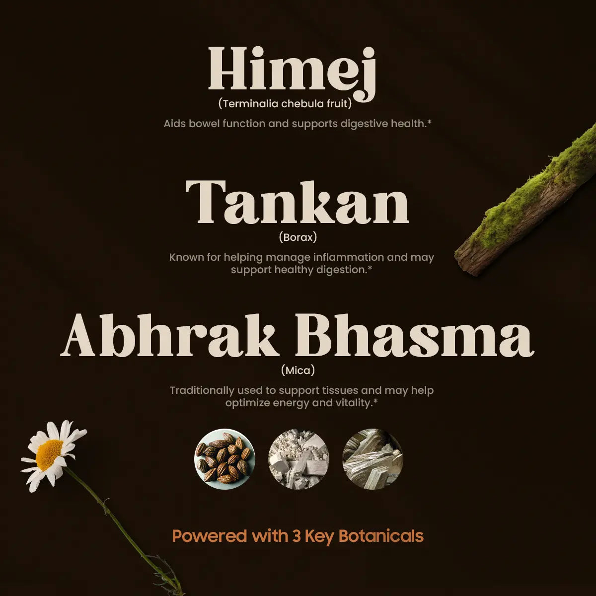 Easy Detox 3 Key Botanicals