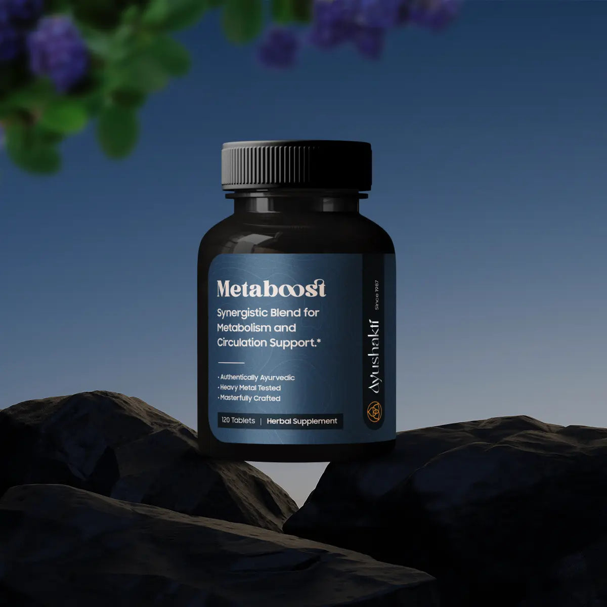 Meta Boost Example Ayurveda Supplements for Metabolic Health – Ayushakti USA