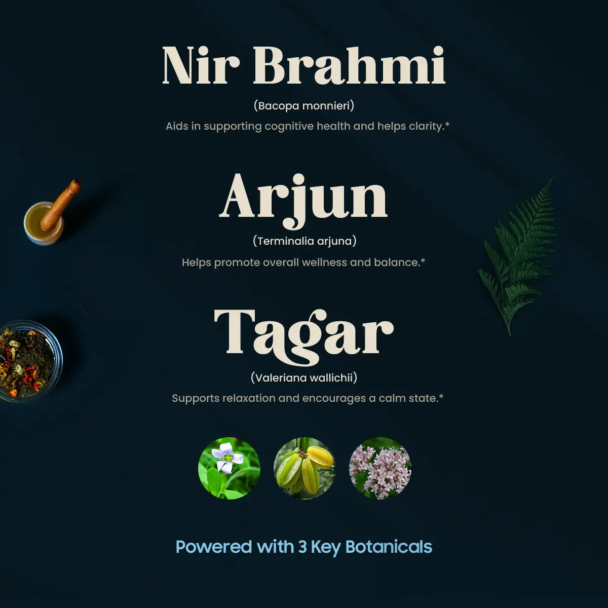 Raktashanti by Ayushakti