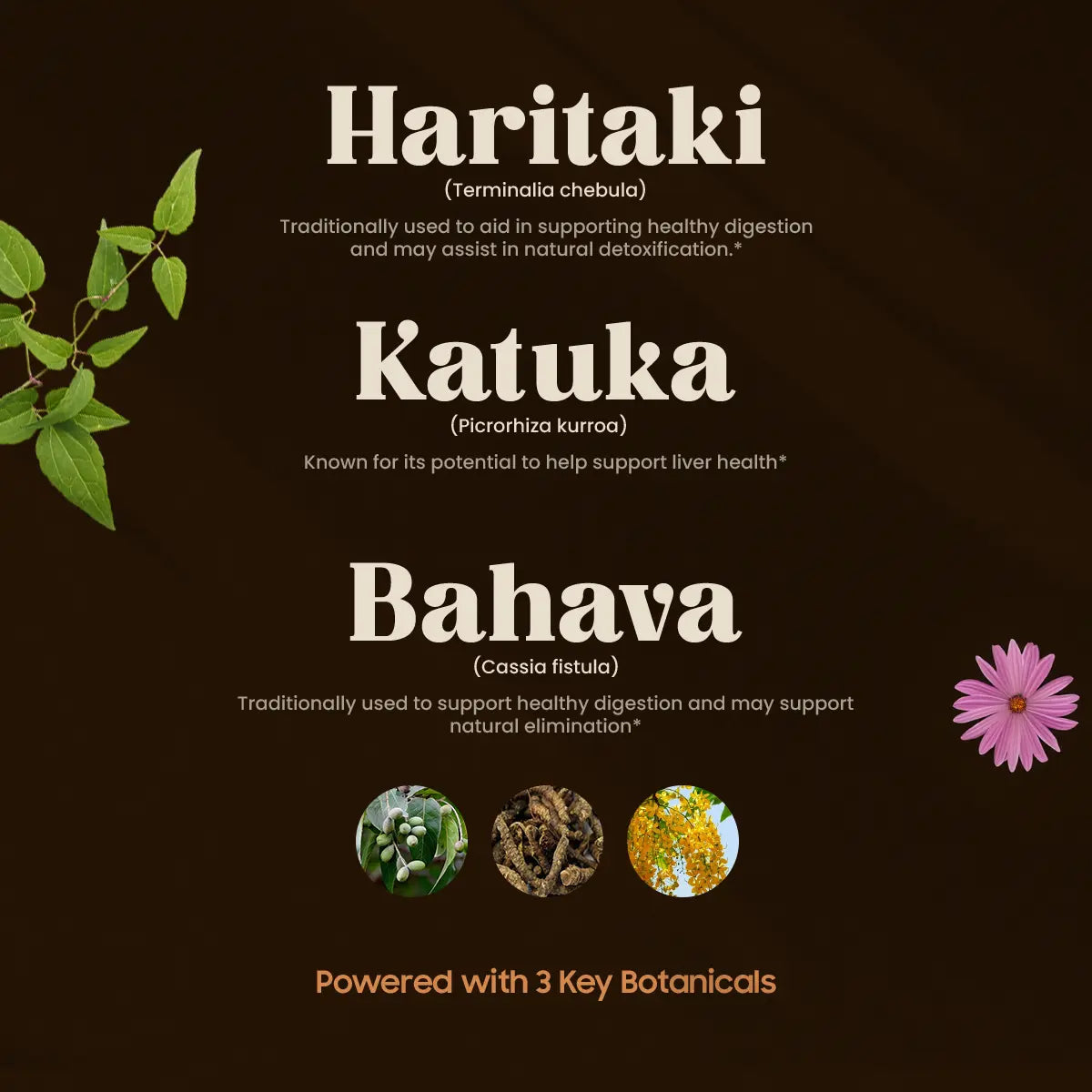 Virechan Tablet 3 Key Botanicals