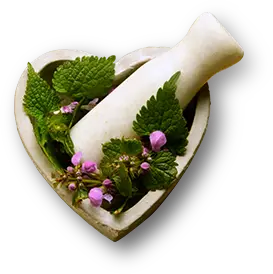 Ayurvedic herbal remedies